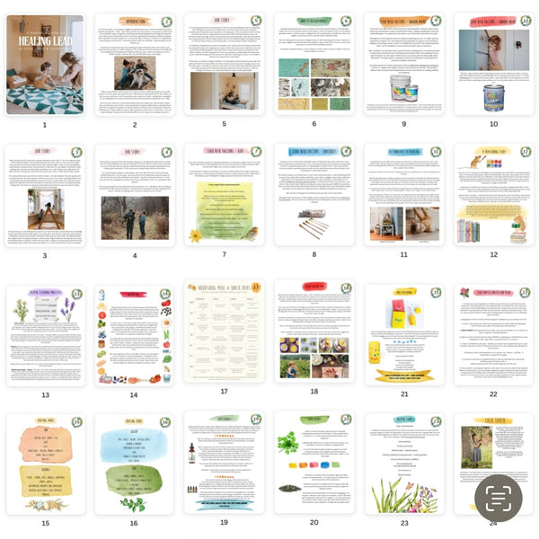 Healing Lead - A parent’s guide to healing lead in your child & your home