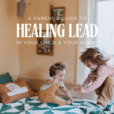 Healing Lead - A parent’s guide to healing lead in your child & your home