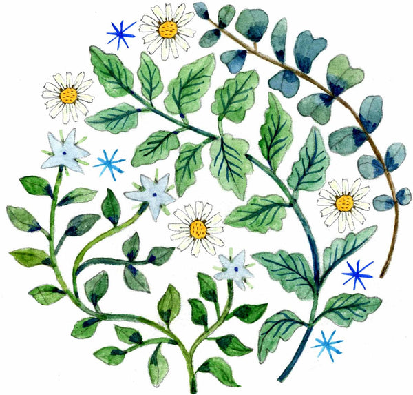 Herbal Chest Rub