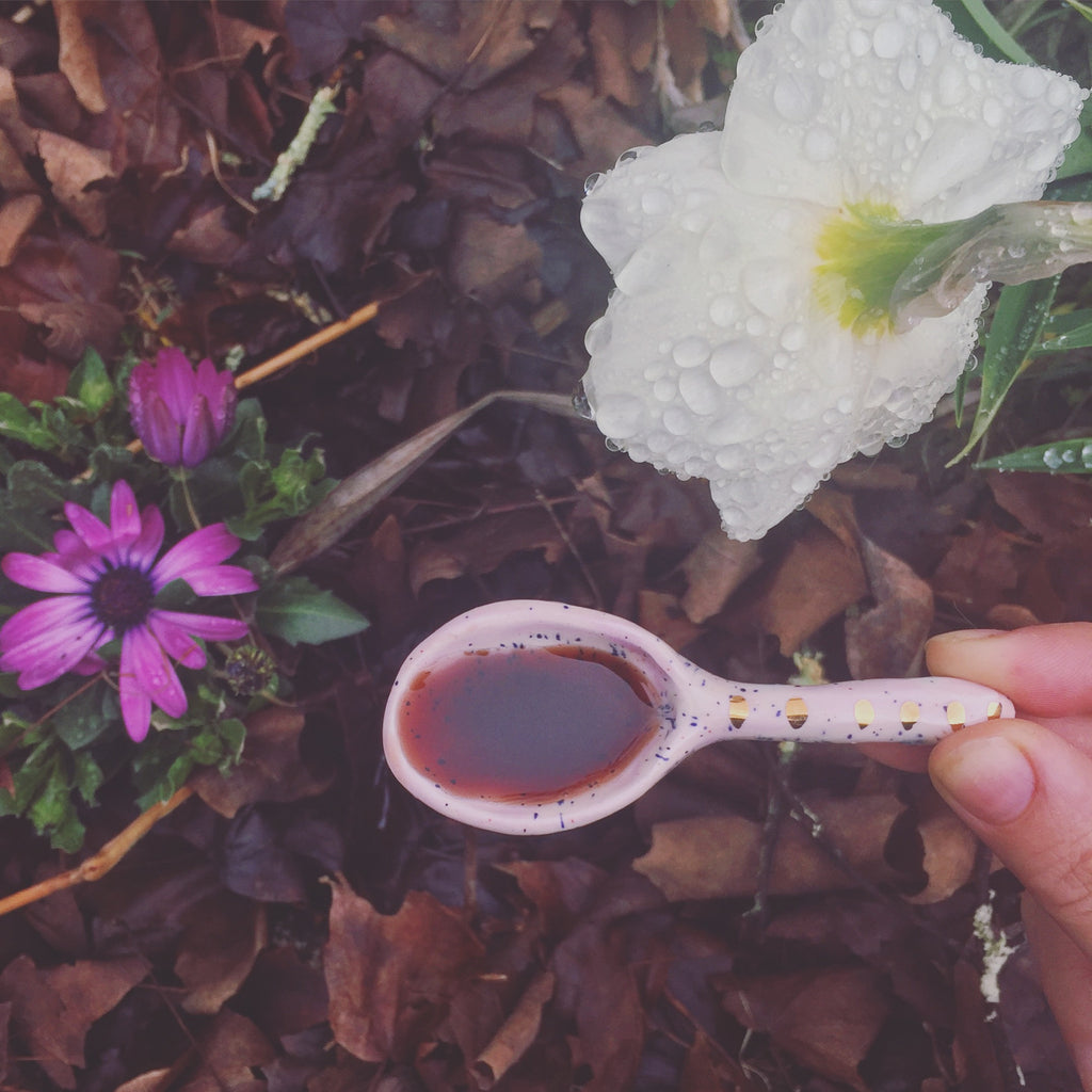 Elderberry & Chaga Immune Syrup