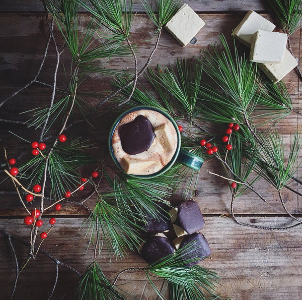 Medicinal Mushroom Hot Chocolate