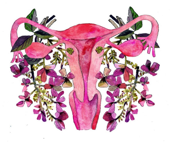 Postpartum support